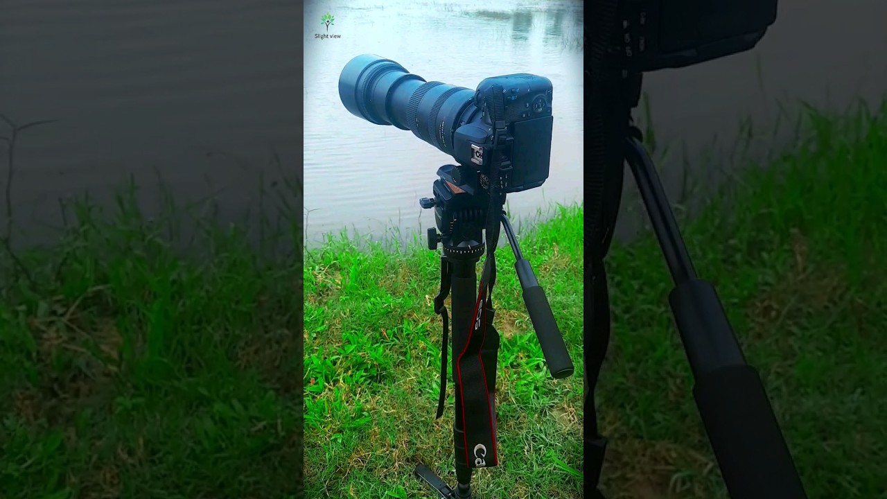 Canon EOS 77D❤️‍🔥 