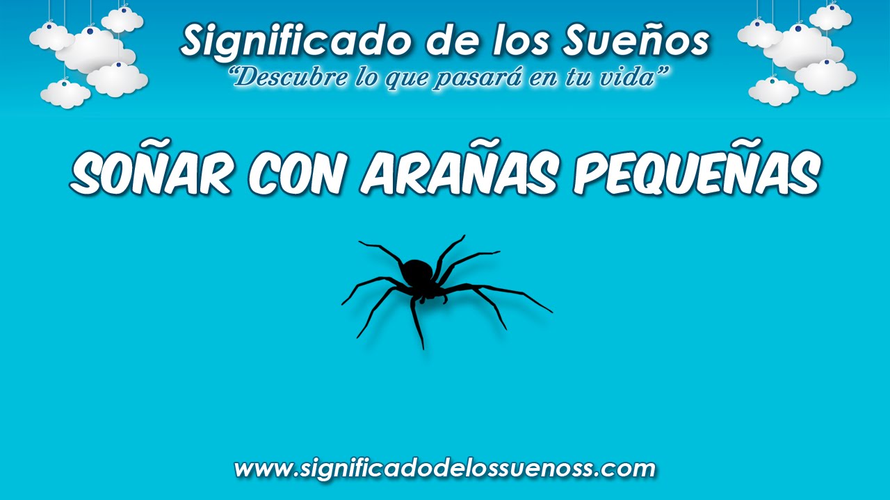 Que significa soñar con araña grande