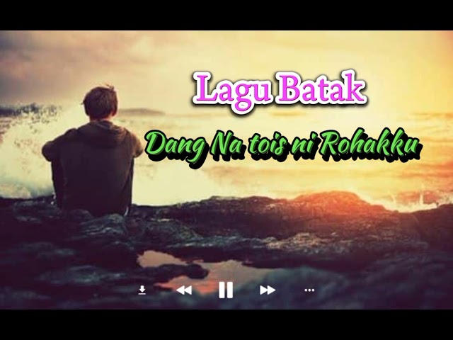 Lagu Batak||Dang Na tois ni rohakku||Lirik||cover By NAGABE TRIO||cipt soritua Manurung class=