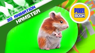 Green Screen Hamster 3D Animation PixelBoom