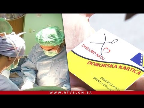 Video: Sadnja I Briga Za žutika (29 Fotografija): Kako Saditi Na Otvorenom Tlu U Sibiru I Moskovskoj Regiji? Kada Je Najbolje Vrijeme Za Transplantaciju? Bolesti I Borba Protiv Njih