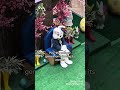 Ich als jung hätte direkt da gerannt #tiktokrepost #repost #inshallahviral