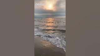 NAUFAL SAMUDRA _MIMPI DAN CINTA