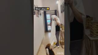 My dog attacked ghost#short #explore #beagle #viral #funny #dog #video