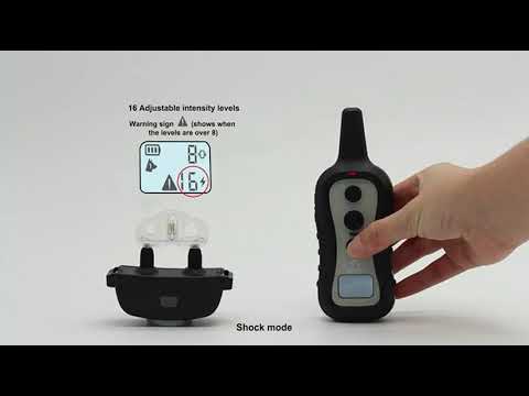 PATPET 301| Remote dog training collar instructions