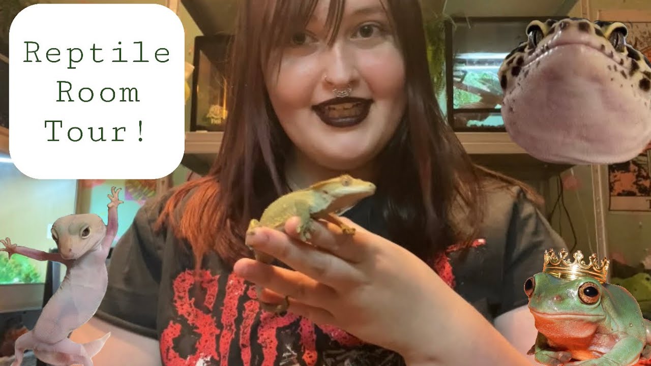 Meet My Reptiles/Reptile Room Tour! - YouTube
