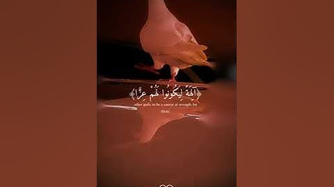 ما تيسر من سورة مريم للقارئ :عبد الرحمن مسعد