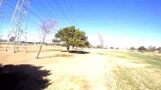 Vortex 250 fail
