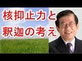 【武田邦彦】核抑止力と釈迦の考え【武田教授 youtube】