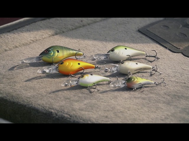 Berkley Dredger Crankbait: How To Fish Effectively with Just Atkins 