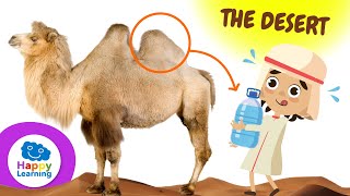 CURIOSITIES ABOUT DESERTS | Happy Learning 🏜️ 🐪