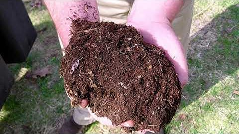 Role of Biofertilizers