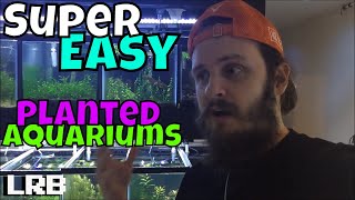Planted Aquarium Keeping How To Made Super Easy with this Great Symbiotic Relationship
