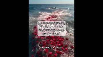 سورة النساء ٥٦ #قرآن #قرآن_كريم #قران #قران_كريم #قرأن #quran
