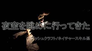 【ブッシュクラフト/ネイチャースキル】夜空を眺めに行ってきた