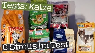 Der ultimative Katzenstreu Test | 6 Streus im großen Praxistest