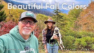 🍁 Maggie Valley to Blue Ridge Parkway | Stunning Fall Colors in the Smokies!