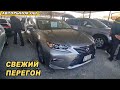 АВТОРЫНОК ОШ👍_Камри/Лексус-GX-RX-ES/Соната/Бмв/Тойота Раф-4/Королла/Приус/Хендай