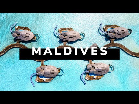 Video: 20 Luftaufnahmen von einigen der erstaunlichsten Malediven Resorts