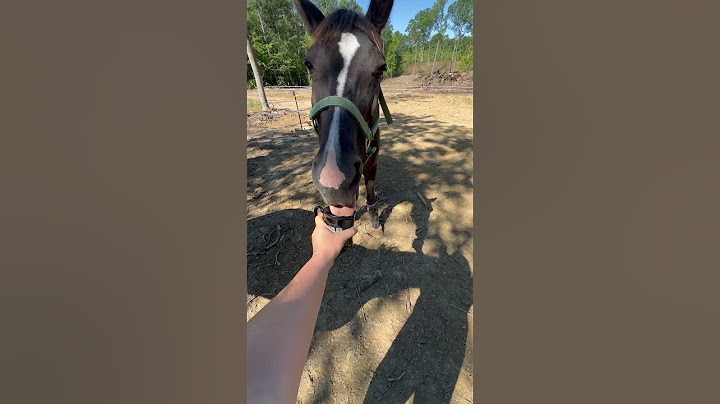 Horse Makes HILARIOUS Face After Trying Drink! #funnyhorse