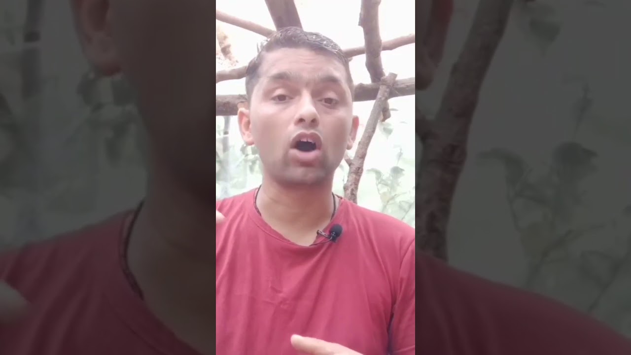 business-ideas-in-nepal