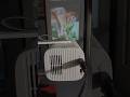 My New Home Theater Projector Setup In 2026 #shorts #viralshorts #trendingshorts