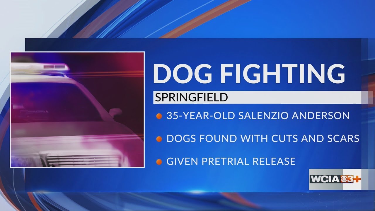 Man charged with dog fighting after hurt, dead dogs found in Springfield home