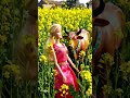 Barbie Doll Cow Ko Khet Me Ghumati Hui 🐄🌾 #barbie #cow #village