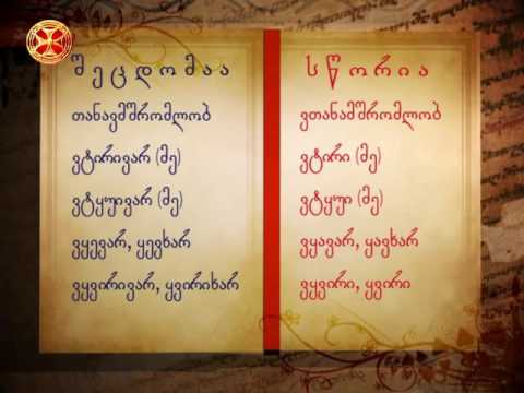 გავუფრთხილდეთ მშობლიურ ენას!