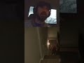 Big Karma.. #fyp #horrortok #jumpscare #karma #horrorgame #foryoupage ... | #mmaandafraid on #Twitch