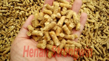 Finished feed pellet made by Strongwin Pellet Machine   Email: toppelletmachine@gmail.com