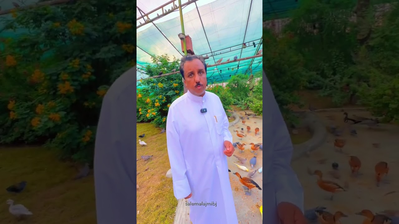 محمية الكريباني مزارع الوفرة
