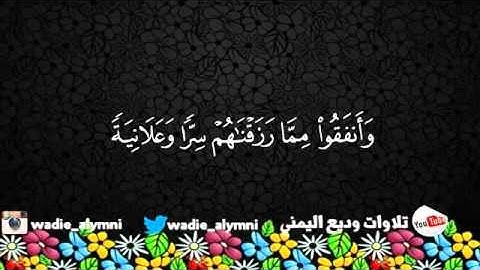 تلاوة مميزة من سورة الرعد   القارئ   وديع اليمني