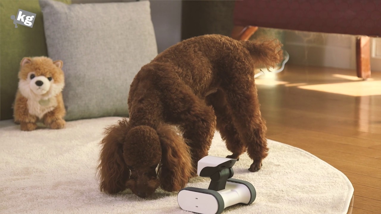 What's in the appbot Riley's box?