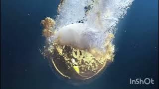 AlJazeera Arabic ident 2023-2024 with 2013-2016 theme (@dinhvanhieu-cartin2006)