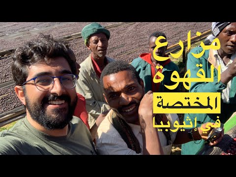 القهوة المختصة المعالجة المجففة نايف جلخف الحلقة الأولى