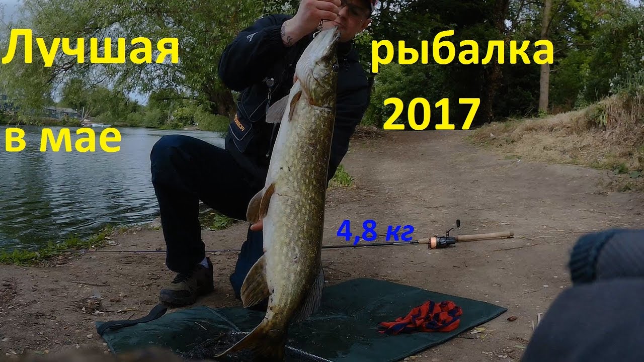 Лучшая рыбалка в мае!!! Щука и окунь на озере.