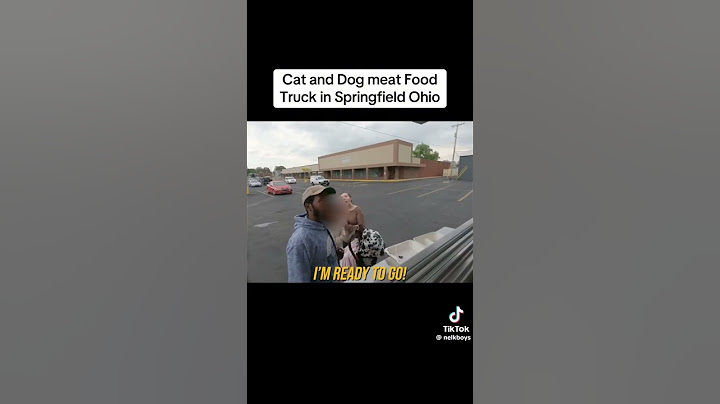 Cat and dog food truck prank #nelkboys