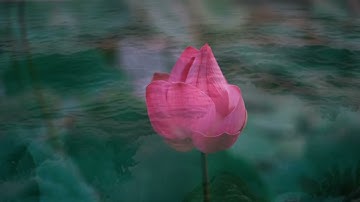 تلاوة بصوت حسن منسي من سورة الأعراف الآيات (88-116)