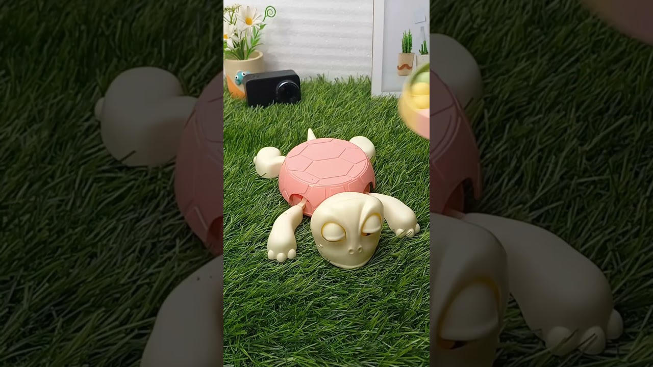 What do you want me to put on top of this turtle? 