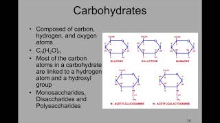 Bio Majors Chapter 3 Part 1