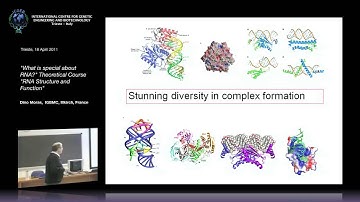 D. Moras - What is special about RNA?