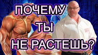 видео: Андрей Замятин прав, мышцам нужно больше энергии для роста картинка: Андрей Замятин прав, мышцам нужно больше энергии для роста