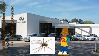 Little Bill Releases Spiders At The Infiniti Dealershipgrounded Ft. Pfd29Tmg