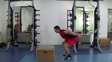 Non-Counter Movement Box Jump & Stick