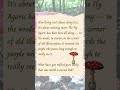 Simple Wonders No. 01 — Fly Agaric
