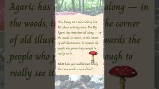 Simple Wonders No. 01 — Fly Agaric