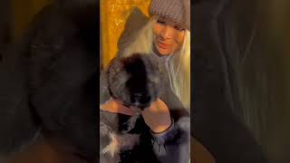 Продажа Щенят Кавказская овчарка #кавказскаяовчаркарута #dog #щенки