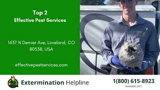 Top 3 Exterminators in Fort Collins