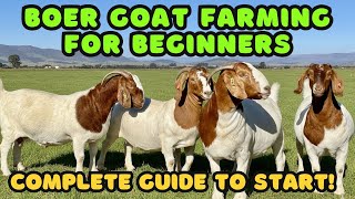 BOER GOAT FARMING FOR BEGINNERS Complete Guide To Starting Your OWN farm